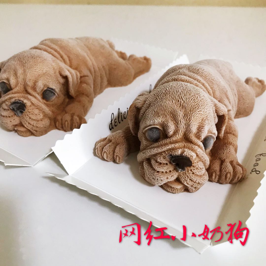 网红小奶狗
