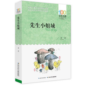 先生小姐城