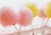 萌萌的“棉花糖” 商品缩略图0