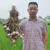 国家地标产品 | 成都温江大蒜蒜瓣 蒜香浓郁 味浓辛辣 蒜瓣饱满 烹饪必备 商品缩略图4