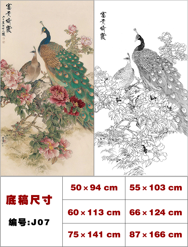 j款工笔画孔雀白描底稿8张 国画花鸟临摹线描素材实物