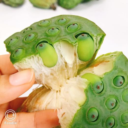  超大个的微山湖野生莲蓬 可生吃可煲汤烧菜 3斤顺丰包邮|百里食 商品图1