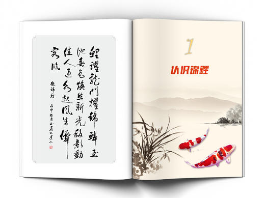 锦鲤的养护与鉴赏 商品图2