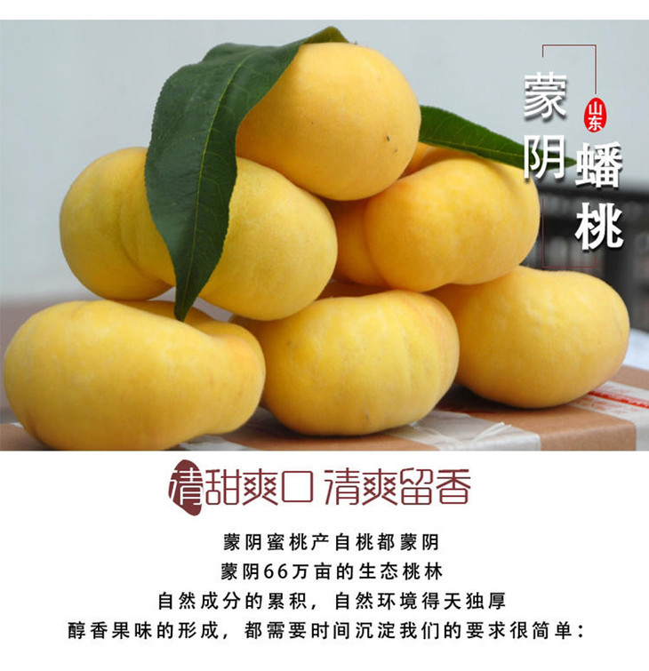 山东蒙阴黄金蟠桃(纯甜,香浓)
