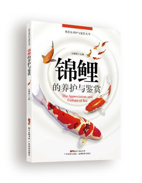 锦鲤的养护与鉴赏