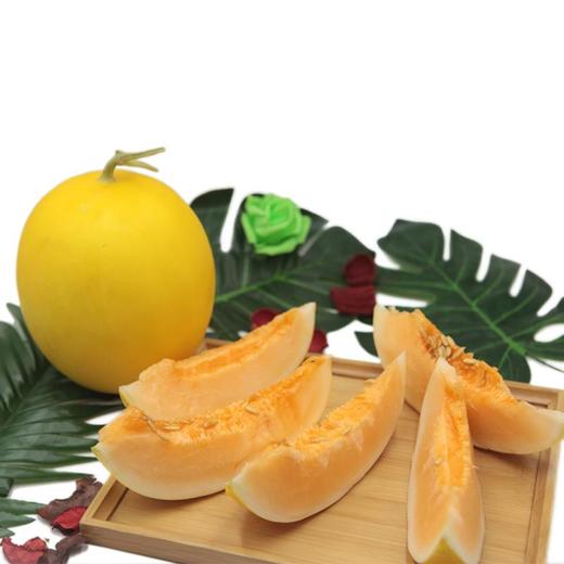 民勤沙漠蜜瓜甜到炸裂 商品图2