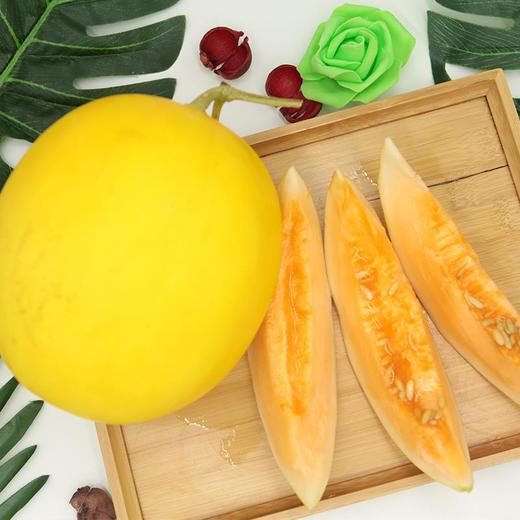 民勤沙漠蜜瓜甜到炸裂 商品图1