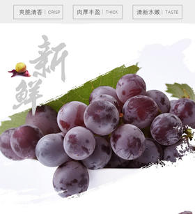 哪天会员折扣