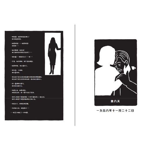 纳瑟·阿里先生的最后八天 商品图4