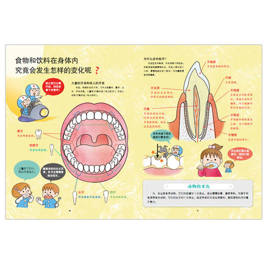 不可思议的身体大冒险 商品图4