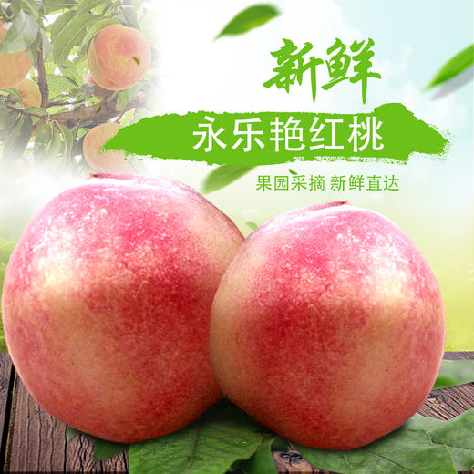 【预售】贵州特产水果永乐艳红桃白花桃6个装脆甜大新鲜水果现摘现发，省内包邮，省外只卖省会城市 商品图0