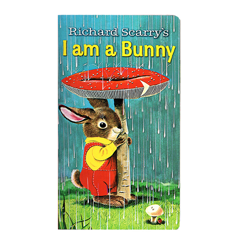 i am a bunny 英语绘本