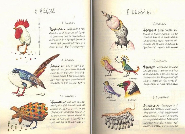 【中商原版】塞拉菲尼抄本 英文原版 艺术 精装 codex seraphinianus