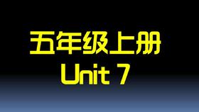 U7知识点与习题