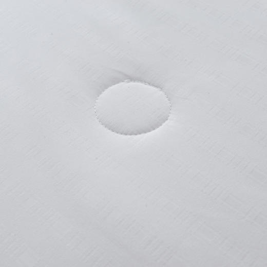 PLAYBOY | 柏妮丝蚕丝冬被 商品图2