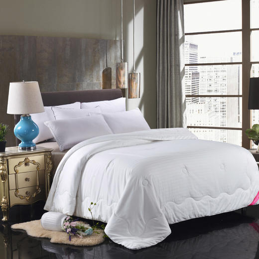 PLAYBOY | 柏妮丝蚕丝冬被 商品图0