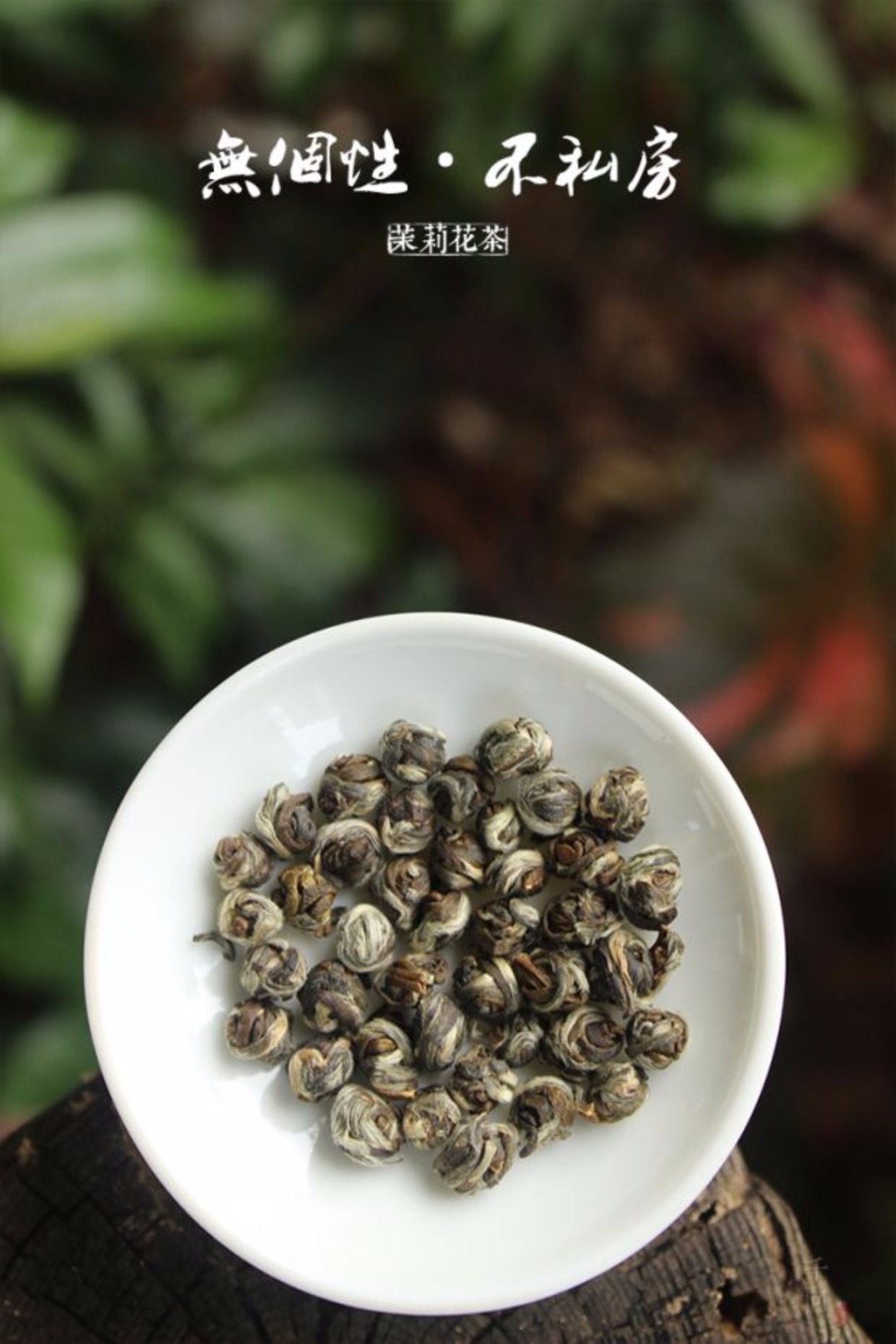 [千回]白龙珠 福州茉莉花茶狮子头七窨一提私房茶 60克2017年新茶