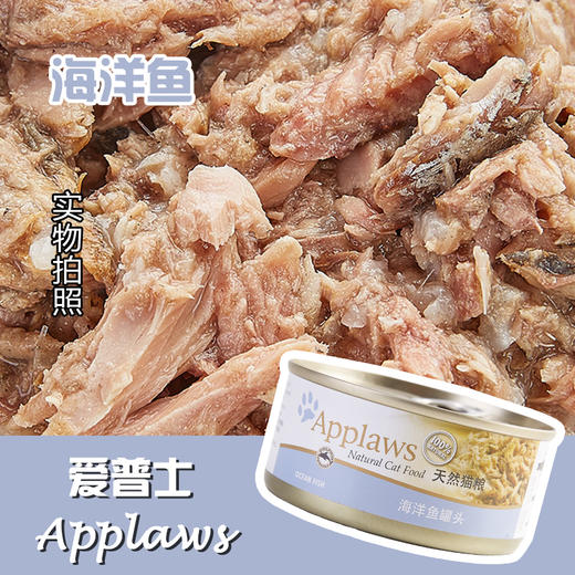 Applaws爱普士 海洋鱼成猫罐头70g 商品图0