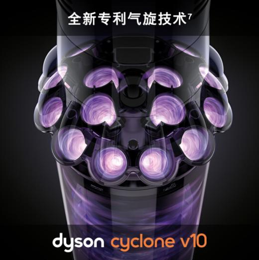 戴森(Dyson) 吸尘器 V10 Absolute 商品图3