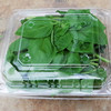 罗勒嫩芽（Basil Tips）100g/袋 商品缩略图1