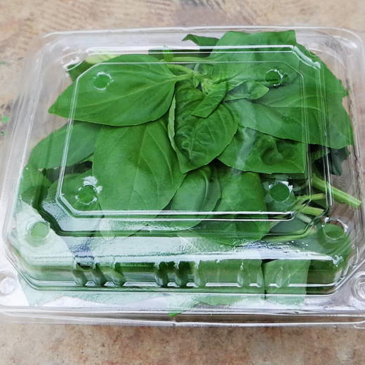 罗勒嫩芽（Basil Tips）100g/袋 商品图1