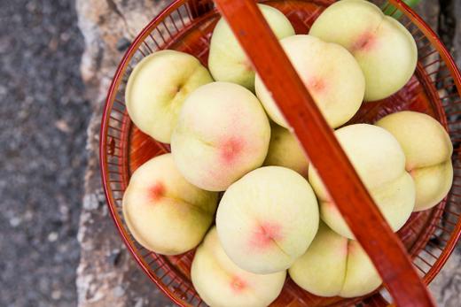 （永久下架）【预付】夏日“桃”跑计划——田园东方蜜桃村 商品图1