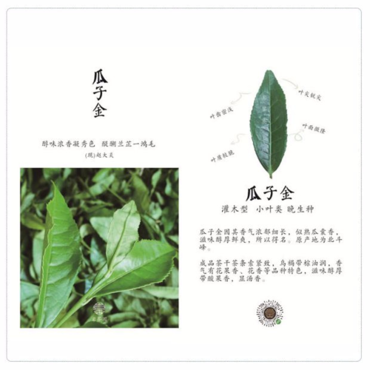 瓜子金 武夷岩茶/正岩莲花峰名丛/中火花果香/私房茶 2018