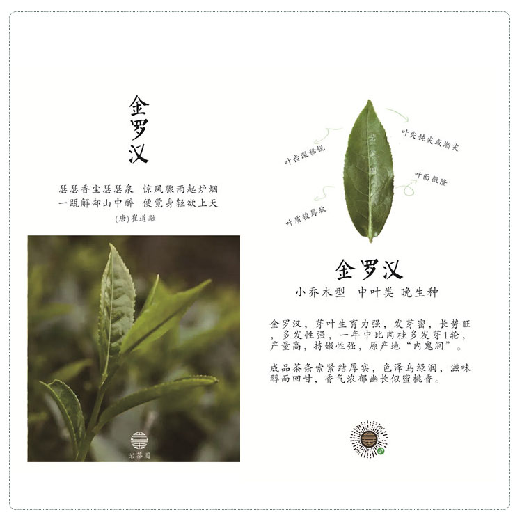 金罗汉 武夷岩茶/正岩观音岩/名枞/中火蜜桃香/私房茶