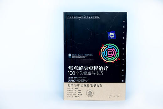 【正版精装】心理咨询与治疗实战派经典：家庭、完形、认知、焦点、交互沟通分析（套装5册） 商品图1