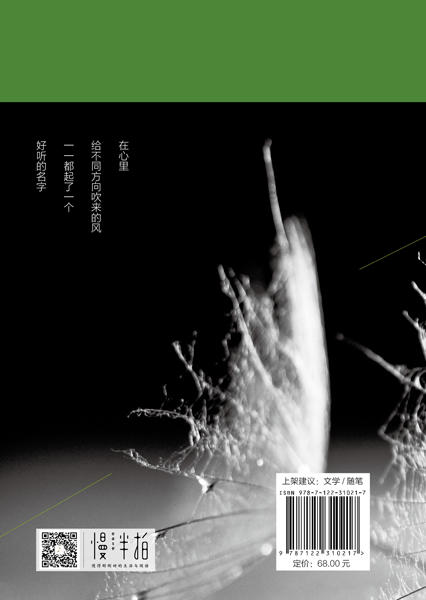 微风吹来少年的心事 商品图10