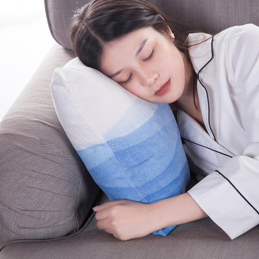 蕲艾草坐垫/抱枕 | 坐着也能补阳活血，体虚湿热者适用，店庆期间3件6折 商品图2