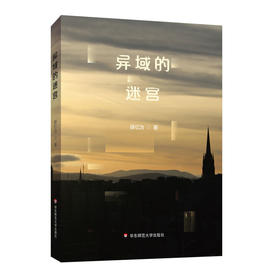 异域的迷宫 薛忆沩全新随笔集 精装