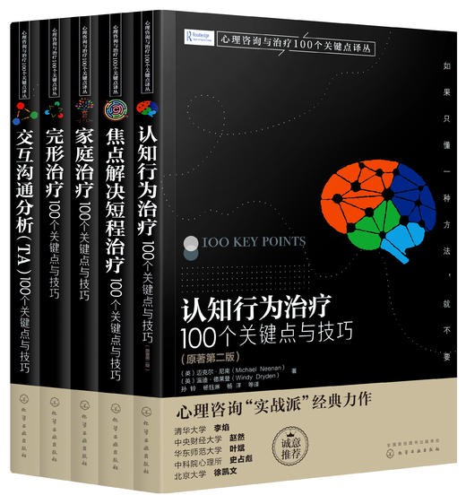 【正版精装】心理咨询与治疗实战派经典：家庭、完形、认知、焦点、交互沟通分析（套装5册） 商品图0