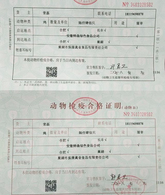 在整个生产链上,从鸡苗的供应源,养殖基地,到屠宰加工厂,检疫部门