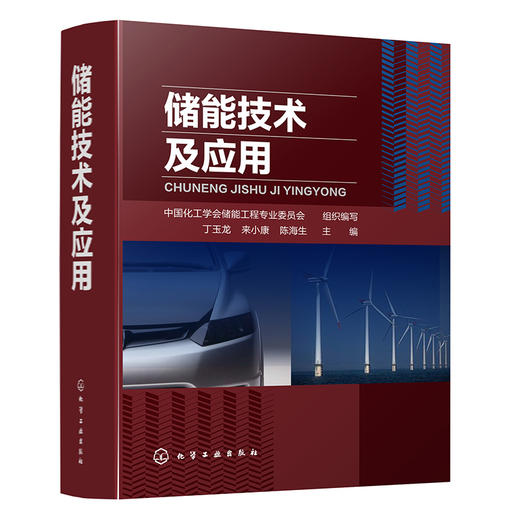 储能技术及应用 商品图0