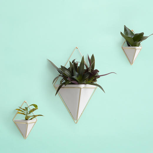 Umbra 立体几何墙饰 新年新家绿色植物装饰 焕新好物 商品图2