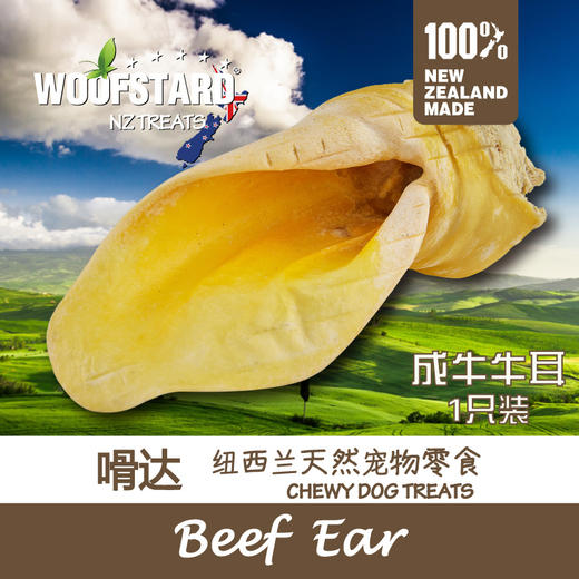 嗗达 成牛牛耳小号1支装 商品图0