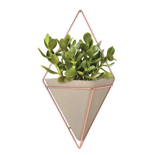 Umbra 立体几何墙饰 新年新家绿色植物装饰 焕新好物 商品图1