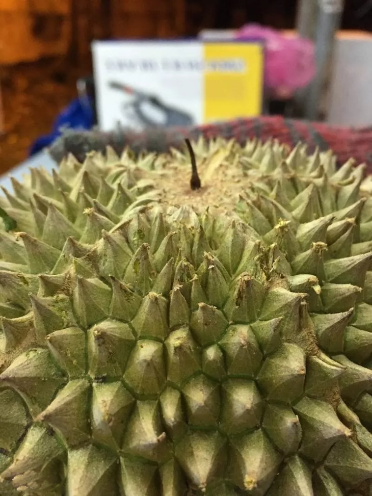 马来西亚黑刺鲜果榴莲