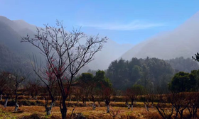 【预付】夏日“桃”跑计划-----桐庐吃鸡大战