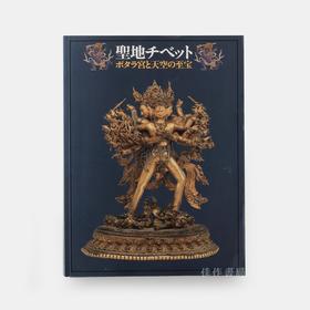 聖地チベット ポタラ宮と天空の至宝  圣地布达拉宫与天空的宝藏