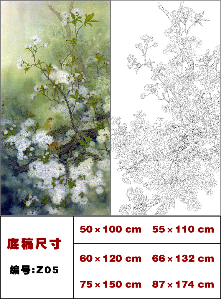 z款 周中耀工笔画樱花白描底稿8张 国画花鸟临摹线描