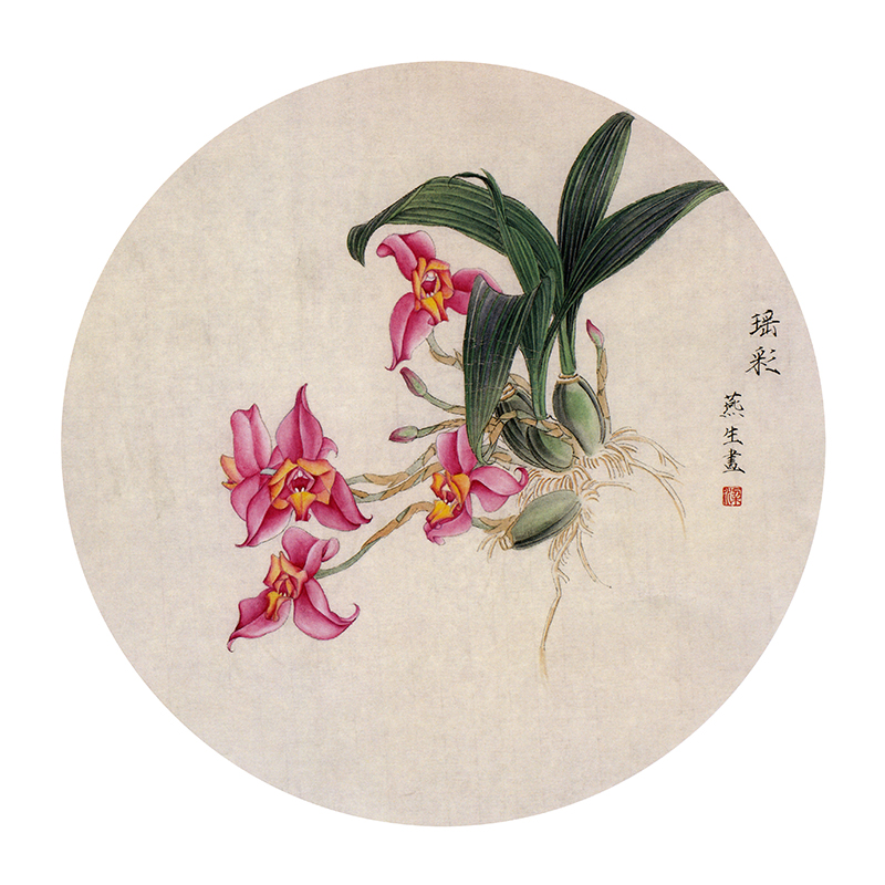 ts17 工笔画团扇白描底稿 国画花鸟临摹勾线实物打印