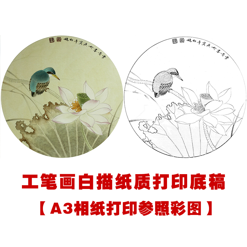 ts15 工笔画团扇白描底稿 国画花鸟临摹勾线实物打印