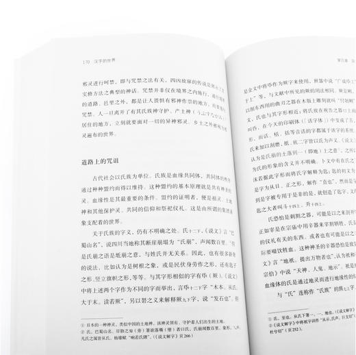 汉字的世界（上）日本著名汉学家白川静代表作之一 揭示汉字诞生的过程，展现背后的文化意义 商品图4