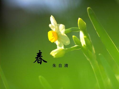 28 商品图0