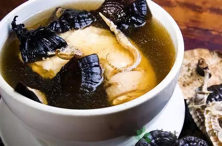⑤灵芝也可以用于炖肉 ,无论猪肉,牛肉,羊肉,鸡肉,都可以加入灵芝炖