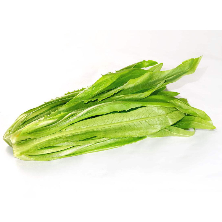 Ұ˽ũׯ  10