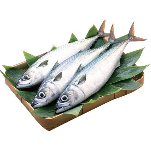 【百汇到家】鲅鱼 商品图0
