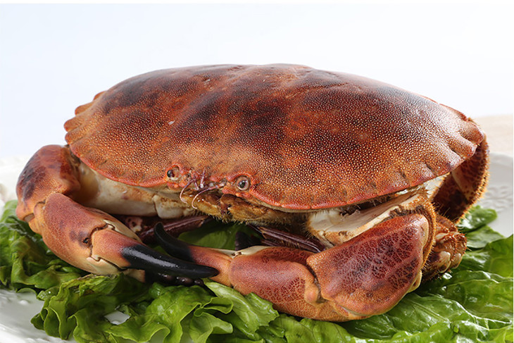 虾蟹组合 加拿大龙虾500g 英国面包蟹700g 鲜活